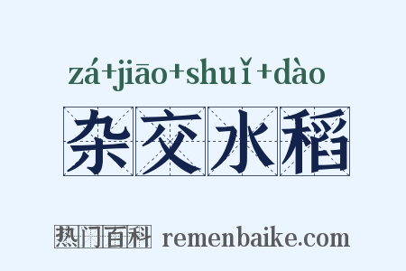 杂交水稻是什么意思的图片